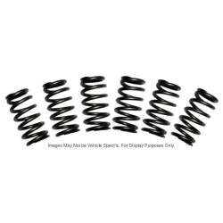 3916588KIT  -  Heavy Duty Exhaust Valve Spring Set for C8.3L (Genuine Cummins)