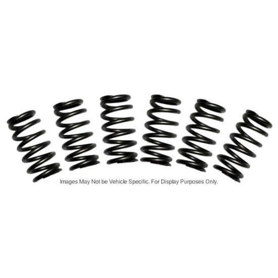 Cummins 3916588KIT Heavy Duty Exhaust Valve Springs for C8.3L Engines (Set of 6)