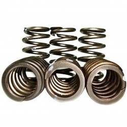 C14010  -  Heavy Duty 60 Psi Valve Springs | 89-98 Dodge 5 9L Cummins