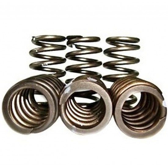 PacBrake C14010 Heavy Duty 60 PSI Exhaust Valve Springs for 1989–1998 Dodge 5.9L Cummins