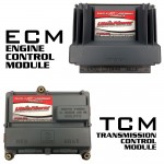 UltraPower GM / Workhorse 8.1L Custom Tuning (ECM & TCM)